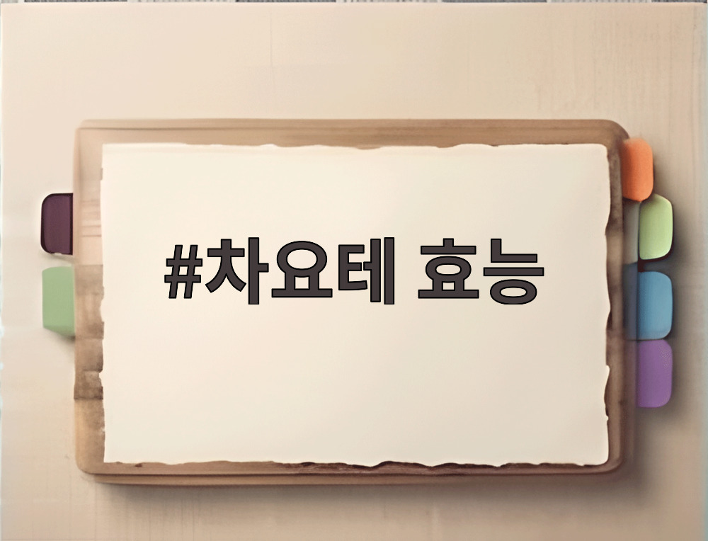 차요테 효능