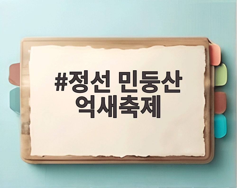정선 민둥산 억새축제