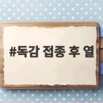 독감 접종 후 열