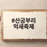 산굼부리 억새축제
