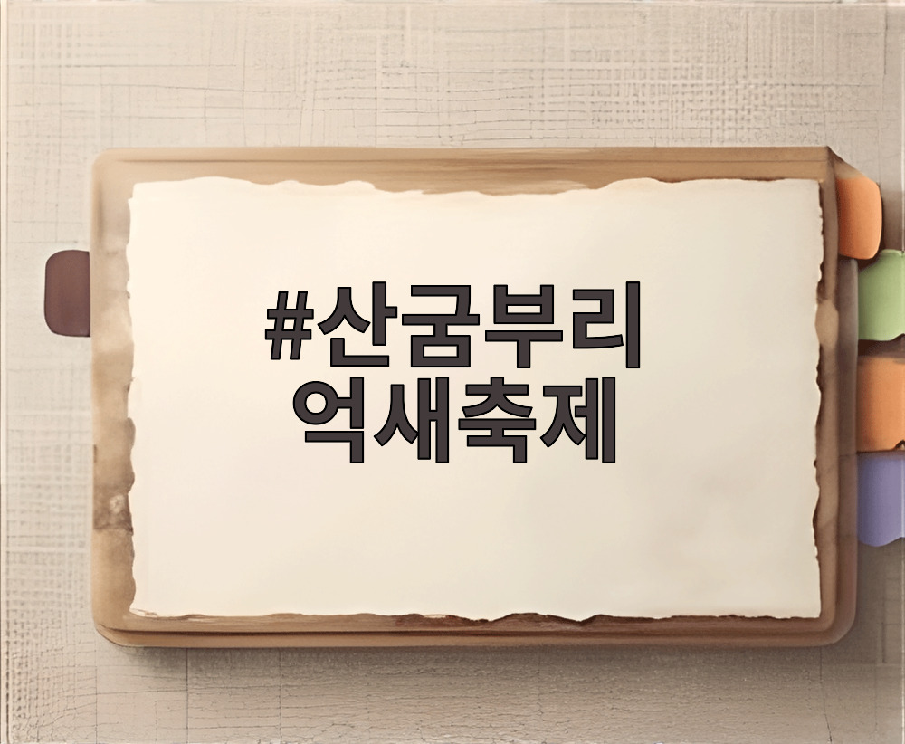 산굼부리 억새축제
