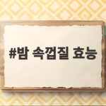 밤 속껍질 효능