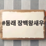 동래 장백왕새우 살아있는 새우회와 소금구이를 한자리에서 동래 장백왕새우