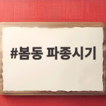 봄동 파종시기 가을에 심는 이유와 지역별 날짜 한눈에 확인 봄동 파종시기