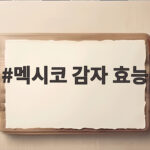 멕시코 감자 효능
