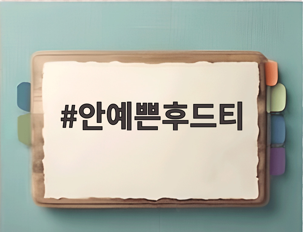 안예쁜후드티