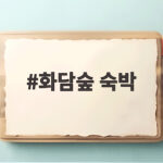 화담숲 숙박 어디가 좋을까 가을 단풍 1박 2일 여행 준비하기 화담숲 숙박