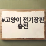 고양이 전기장판 충전