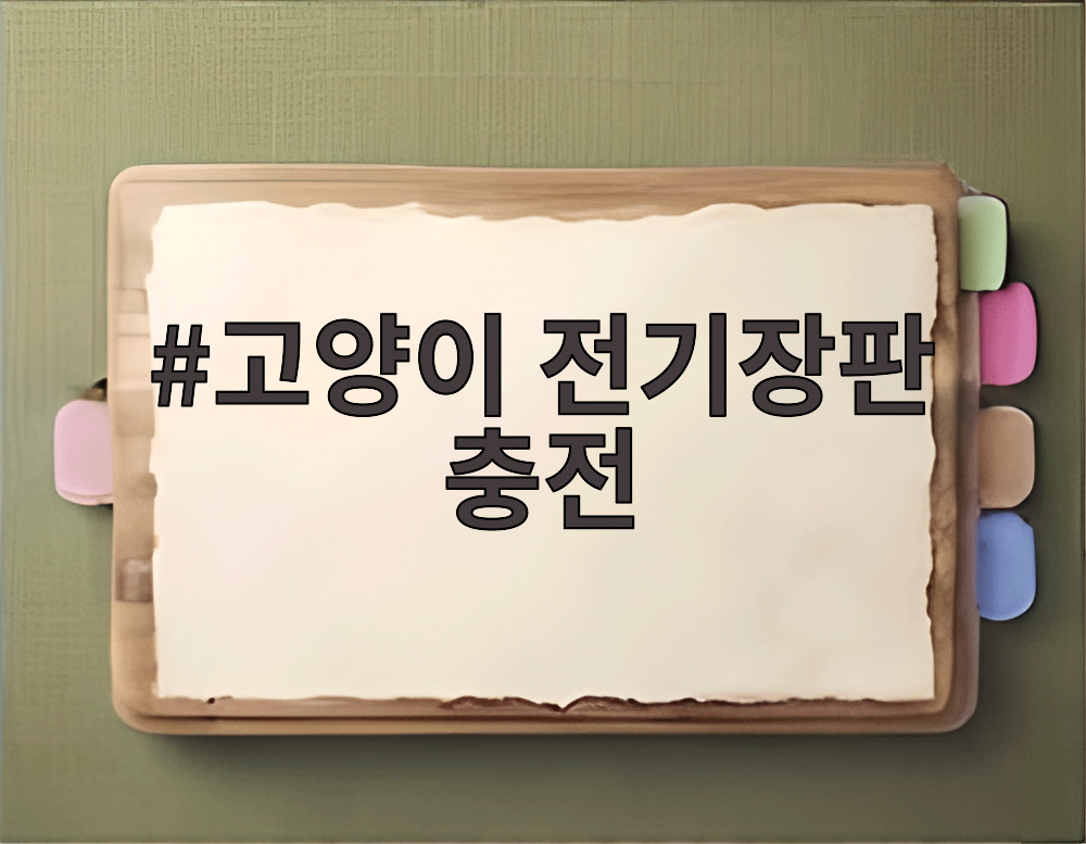 고양이 전기장판 충전