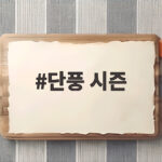단풍 시즌