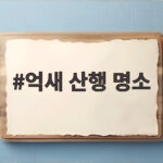 억새 산행 명소