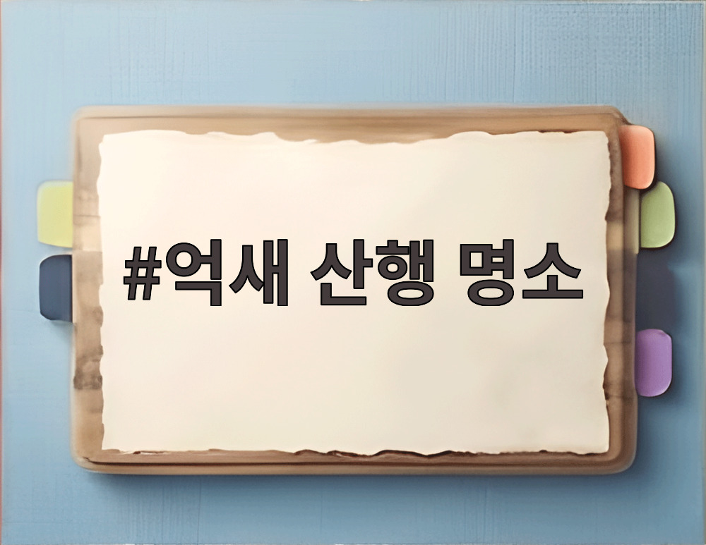 억새 산행 명소
