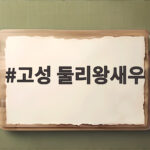 고성 둘리왕새우