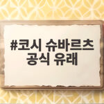 코시 슈바르츠 공식 유래 200년 전 강의록에서 시작된 이야기 코시 슈바르츠 공식 유래