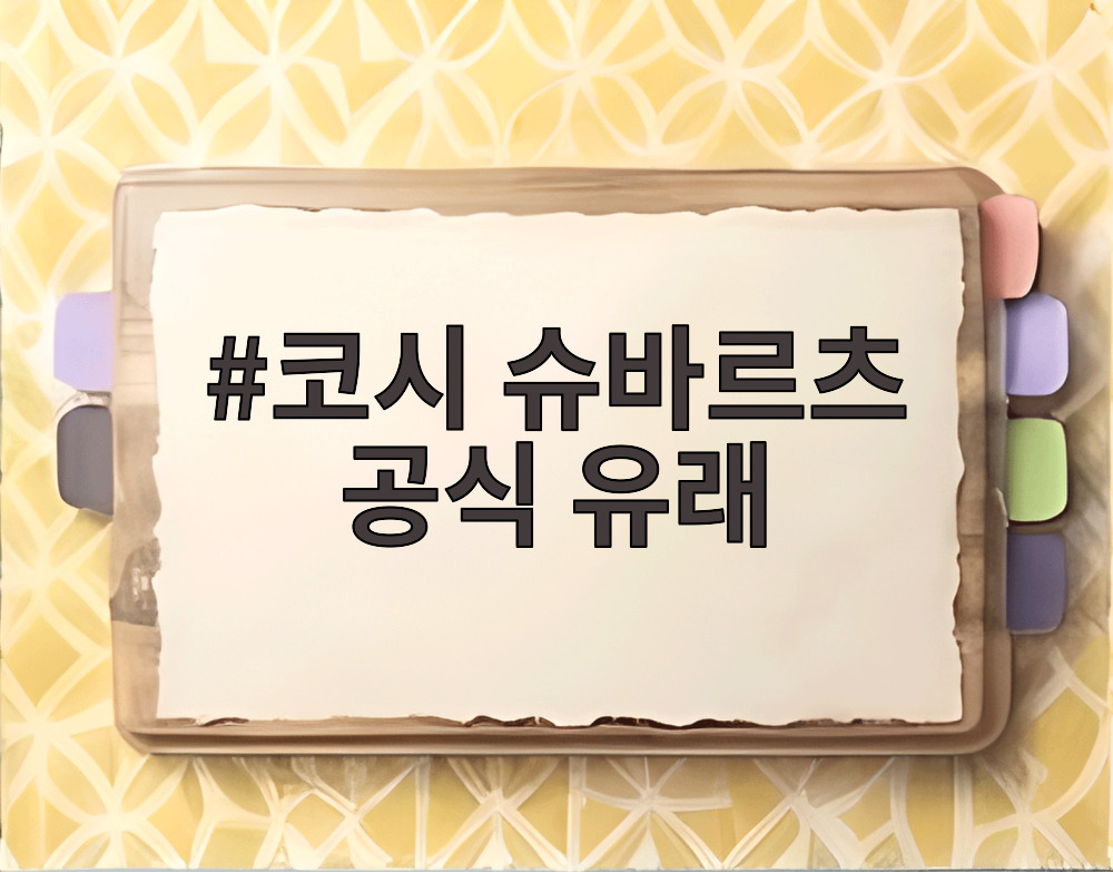코시 슈바르츠 공식 유래