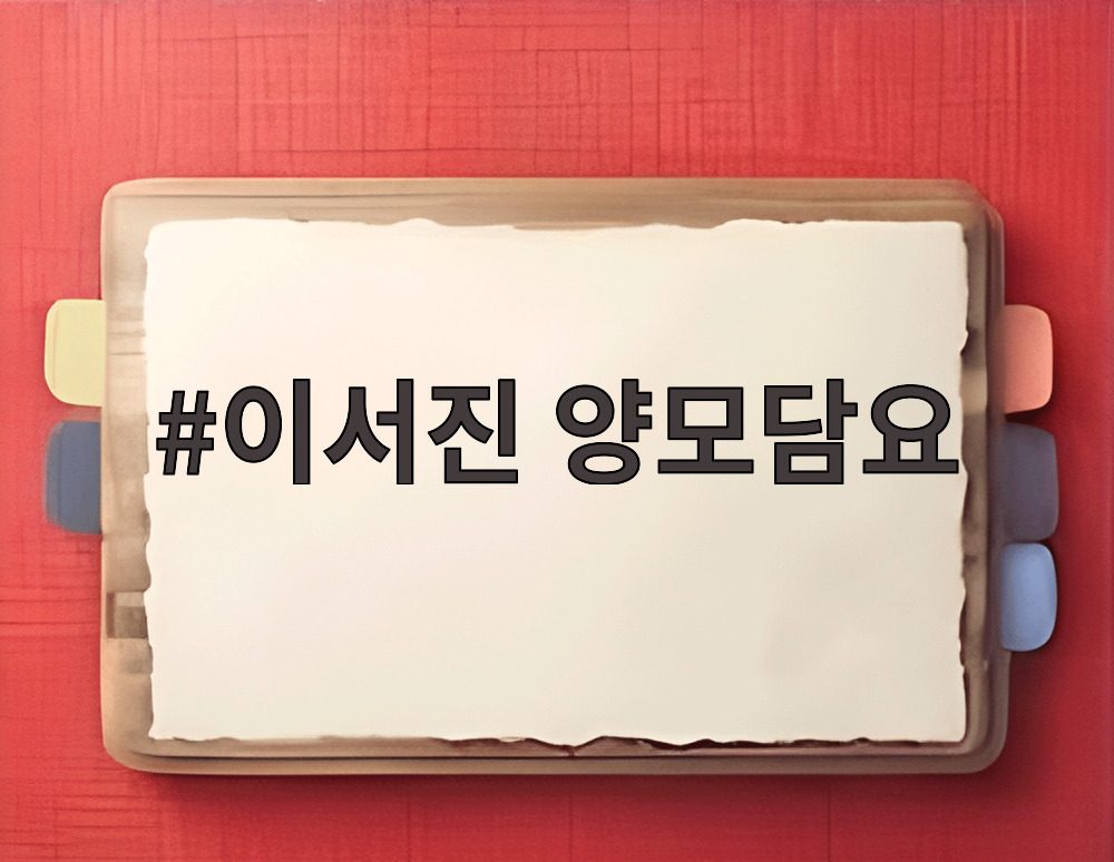 이서진 양모담요