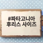 파타고니아 후리스 사이즈