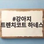 강아지 트렌치코트 하네스