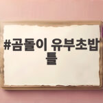 곰돌이 유부초밥 틀