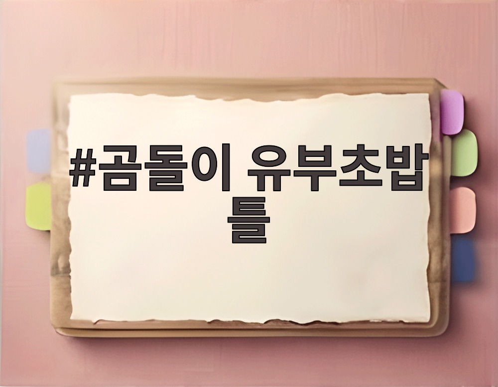 곰돌이 유부초밥 틀