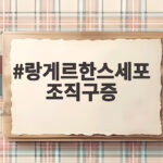 랑게르한스세포 조직구증