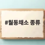 월동채소 종류 10월에 심으면 봄까지 든든한 텃밭 작물 월동채소 종류