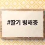 딸기 병해충