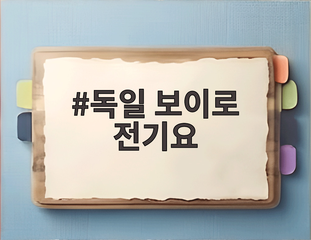 독일 보이로 전기요