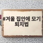 겨울 집안에 모기 퇴치법