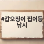 갑오징어 집어등 낚시 이번 가을 밤바다에서 대박 나는 방법 갑오징어 집어등 낚시