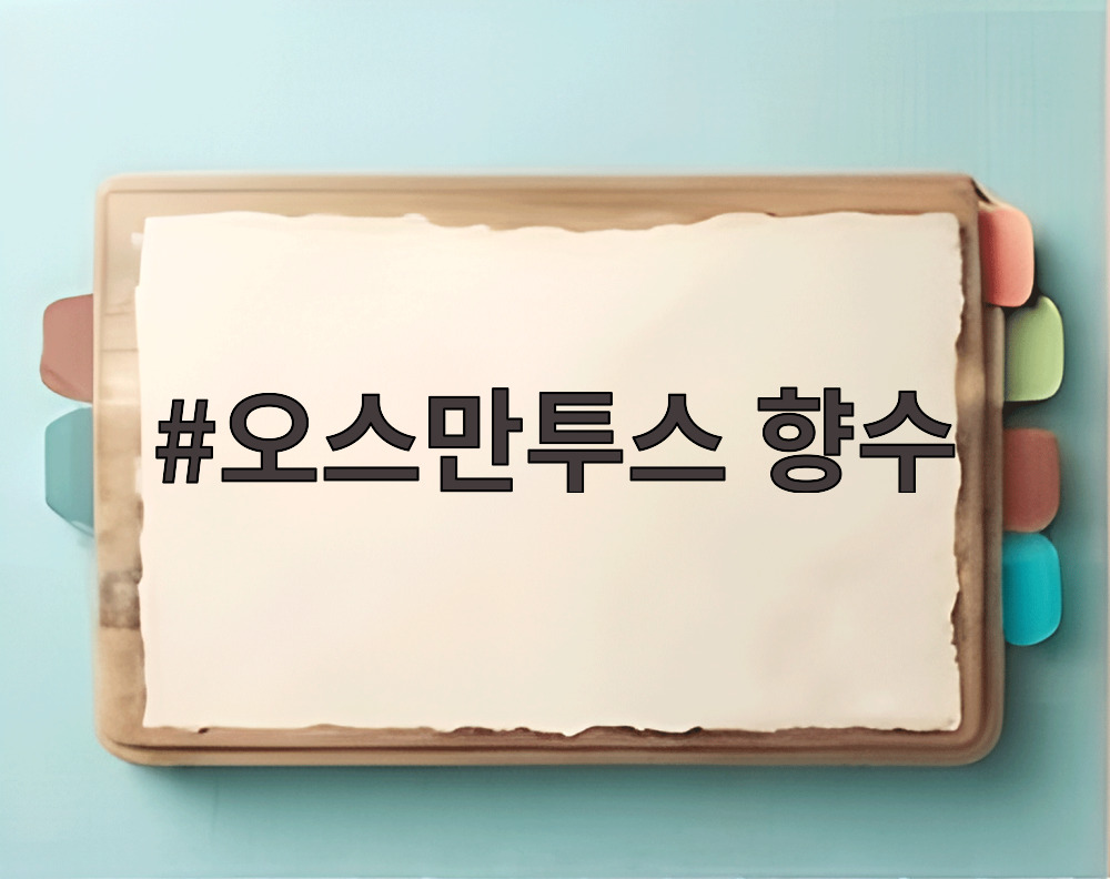 오스만투스 향수