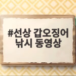 선상 갑오징어 낚시 동영상