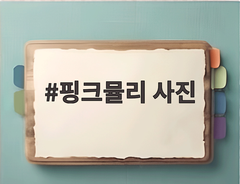 핑크뮬리 사진