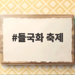 들국화 축제 10월에 만나는 하얀 꽃밭 명소와 일정 총정리 들국화 축제