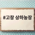 고창 상하농장 가을 할로윈 축제부터 숙소 예약까지 총정리 고창 상하농장