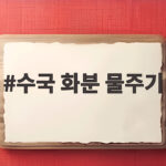 수국 화분 물주기