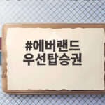 에버랜드 우선탑승권