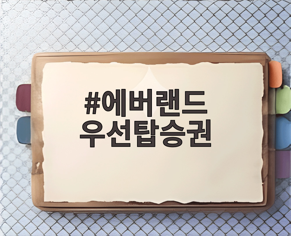 에버랜드 우선탑승권