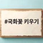 국화꽃 키우기