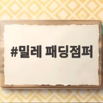 밀레 패딩점퍼 한파 출퇴근길에 정말 이만한 선택이 또 있을까요 밀레 패딩점퍼