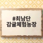 최남단 감귤체험농장