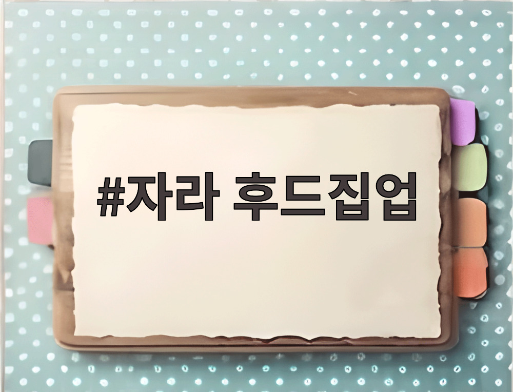 자라 후드집업