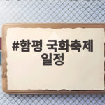 함평 국화축제 일정