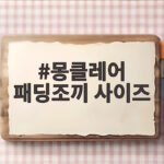 몽클레어 패딩조끼 사이즈