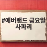 에버랜드 금요일 사파리 오후권으로 충분히 즐길 수 있을까 에버랜드 금요일 사파리