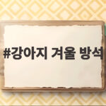 강아지 겨울 방석