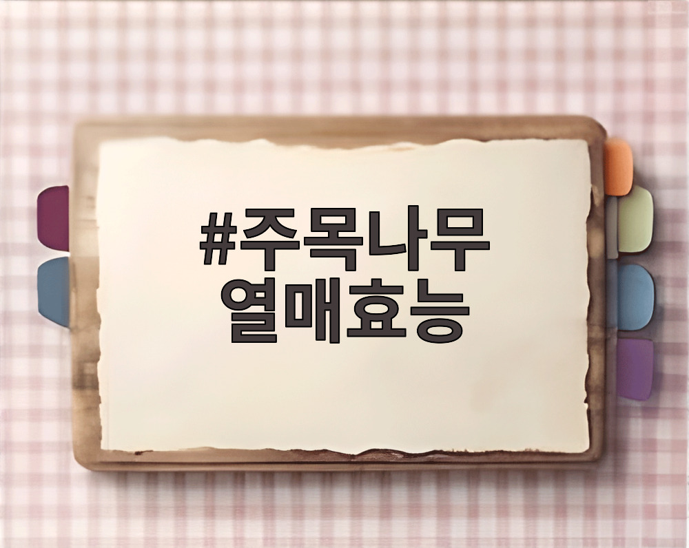 주목나무 열매효능