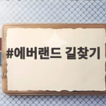 에버랜드 길찾기 이렇게 하면 평일 공원 동선 실패 없이 끝납니다 에버랜드 길찾기