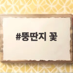 뚱딴지 꽃