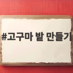 고구마 밭 만들기